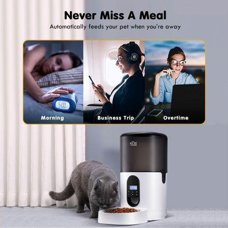 6L Auto Pet Feeder Smart Automatic Dog Cat Food Dispenser Timed 10s Voice Recorder 1-4 Meals Per Day 20 Portions