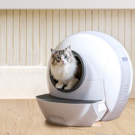 PaWz Automatic Smart Cat Litter Box Self-Cleaning Enclosed Kitty Toilet Hooded