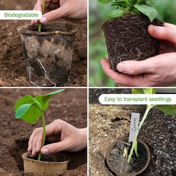 25P Biodegradable Pots for Seedlings & Seed Starter Nursery Pots Organic Plantable Pots