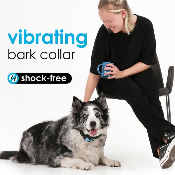 Dog Bark Collar Vibration Beep Small, Medium & Large Dogs Breeds Training No Remote 11-110 lbs