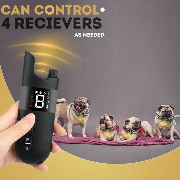 Dog Training Collar No Shock Remote Rechargeable and Waterproof for Positive Education