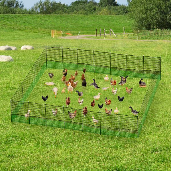 Chicken Coop Cage Run Pen Hen Chook House Fence Poultry Enclosure Hutch Mesh Net Netting Habitat Farm Yard Fencing 5000x125CM