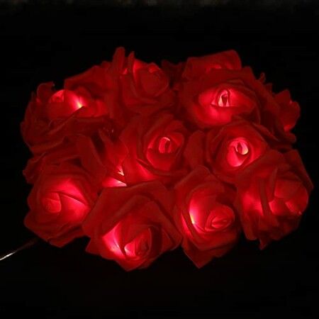 6M 40 LED Rose Lights Valentine Garland with Lights Battery Operated,  Red Rose Flower String Lights, Valentines Day Decorations