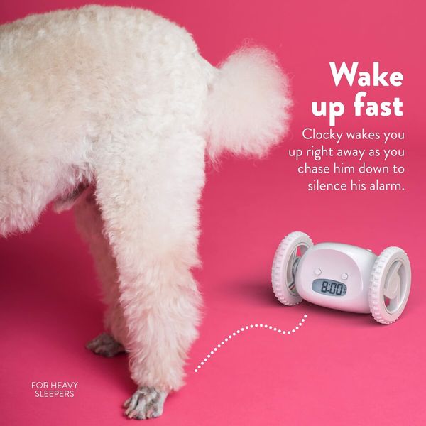 Run-Away Alarm Clock on Wheels (Authentic)Extra Loud for Heavy Sleeper Funny Rolling Jumping (White)