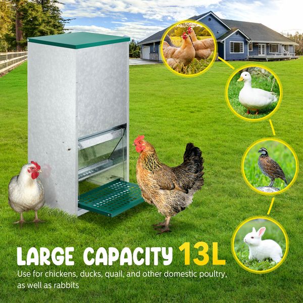 Auto Chicken Feeder Automatic Poultry Treadle Hens Rabbit Chook Food Dispenser Rat Bird Water Proof Galvanised Steel 13L