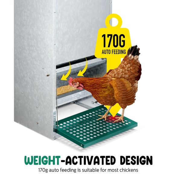 Auto Chicken Feeder Automatic Poultry Treadle Hens Rabbit Chook Food Dispenser Rat Bird Water Proof Galvanised Steel 13L