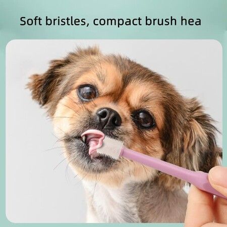 Dog and Cat Toothbrush Dental Care 1 PCS