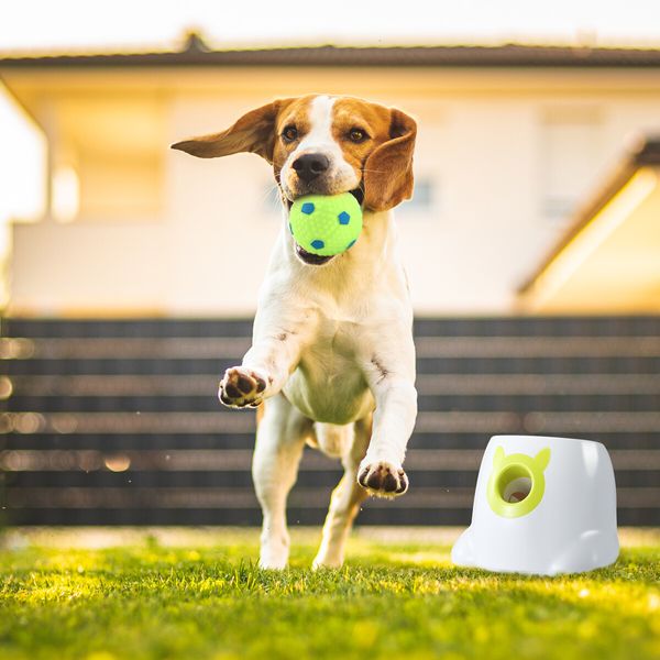 Dog Ball Launcher Automatic Thrower Fetch Throwing Machine Adjustable Distance 3 Coloured Latex Balls Waterproof Dirt Resistant Petscene