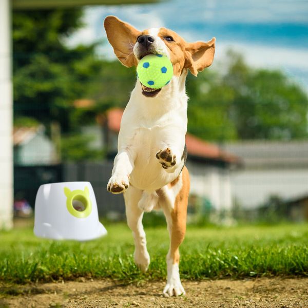 Dog Ball Launcher Automatic Thrower Fetch Throwing Machine Adjustable Distance 3 Coloured Latex Balls Waterproof Dirt Resistant Petscene