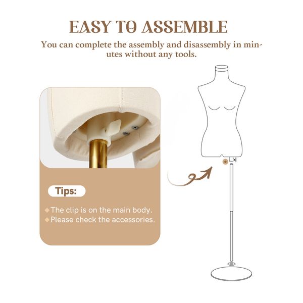 Female Mannequin Dummy Model Manikin Dressmaking Dress Form Upper Torso Adjustable Detachable Fashion Clothing Wedding Dress Display Stand 200cm