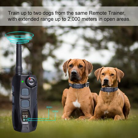 2in1 Dog Underground fence rechargeable waterproof electric dog fencing system and training collar with vibrate shock training