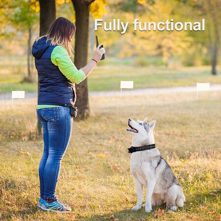 2in1 Dog Underground fence rechargeable waterproof electric dog fencing system and training collar with vibrate shock training