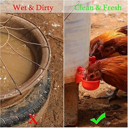 Chicken Water Cups, 6pcs Automatic Chicken Water Feeder, Poultry Waterer Kit Suitable for Chicks, Duck, Goose, Turkey and Bunny