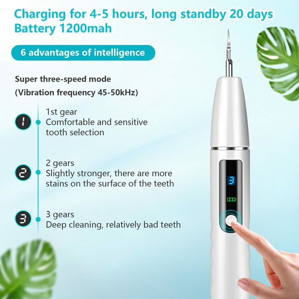 Electric Teeth Cleaner Kit, Plaque Remover for Teeth, Plaque and Tartar Remover Dental Tools with 4 Replaceable Heads and 1 Oral Mirror