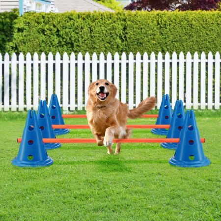 Dog Agility Equipment 7 Set Pet Obstacle Training Course Supplies Jump Puppy Hurdle Cones Weave Poles Carry Bag Water Bottle Bowl