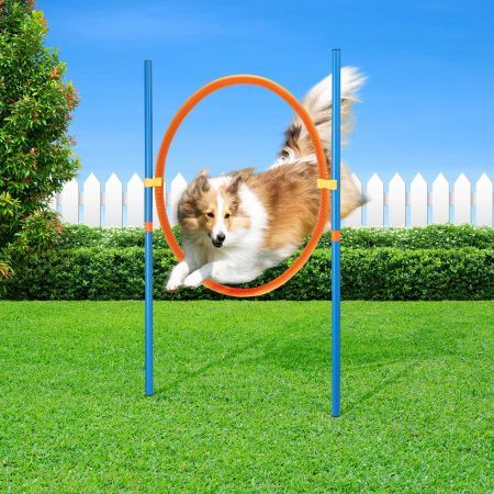 Dog Agility Equipment 7 Set Pet Obstacle Training Course Supplies Jump Puppy Hurdle Cones Weave Poles Carry Bag Water Bottle Bowl