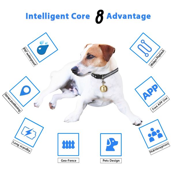 Pets GPS tracker Cat Dog Pet Tracker Collar with Bell Tracking Device Locator Waterproof IP67 Anti-lost monitor Smart Finder Free APP Color Golden