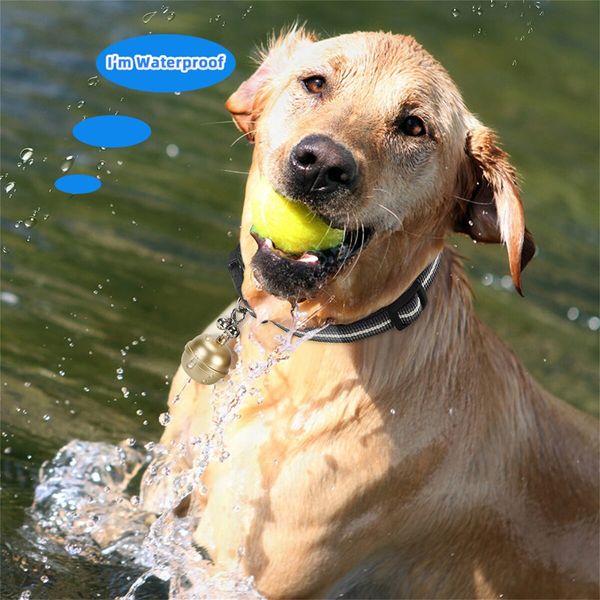 Pets GPS tracker Cat Dog Pet Tracker Collar with Bell Tracking Device Locator Waterproof IP67 Anti-lost monitor Smart Finder Free APP Color Golden