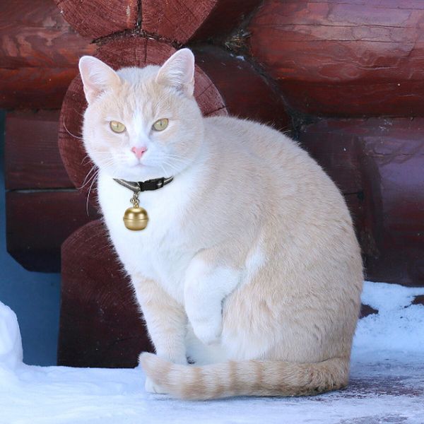 Pets GPS tracker Cat Dog Pet Tracker Collar with Bell Tracking Device Locator Waterproof IP67 Anti-lost monitor Smart Finder Free APP Color Golden
