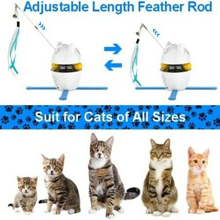 4 in 1 Cat Interactive Toys with Cat Feather