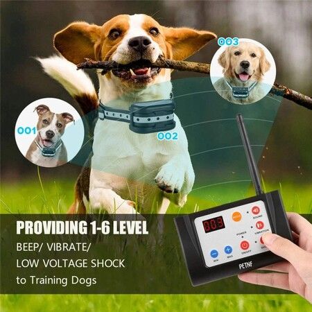 Electronic Pet Fence Wireless Waterproof Wireless With Sound & Shock Function 2 in 1 Electric Dog Fence Training Collar