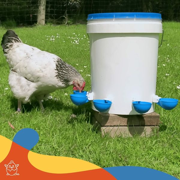 5 Pack Automatic Chicken Water Cups - Chicken Water Cups Suitable for Ducks, Geese, Turkeys and Bunny - Chicken Water Feeding Kit