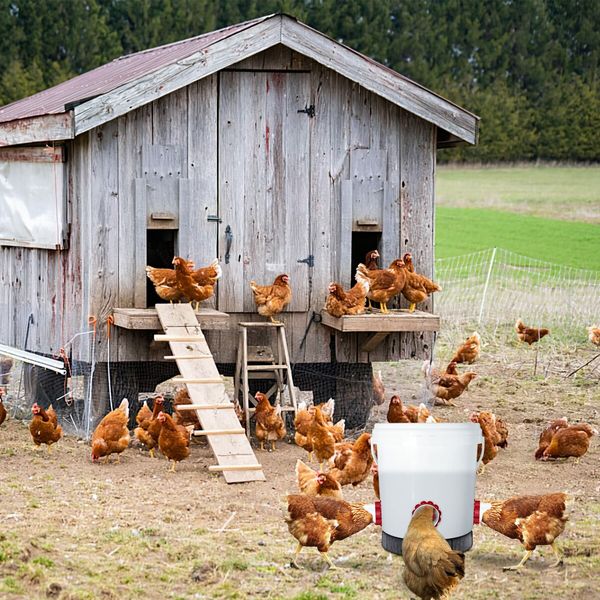 DIY Chicken Feeders No Waste, Poultry Feeder with Covers Gravity Feed Kit Ports 4-1 Hole Saw for Buckets Barrels Bins Troughs