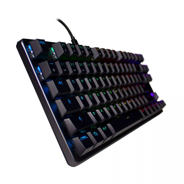 Tecware Phantom L RGB TKL Low Profile USB Wired Mechanical 87-Key Keyboard Outemu Brown Switch