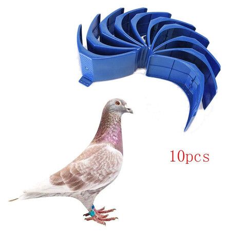 10pcs Pigeon Stand Dove Rest Stand Pigeon Perch Roost Frame Grill Dwelling (Blue)