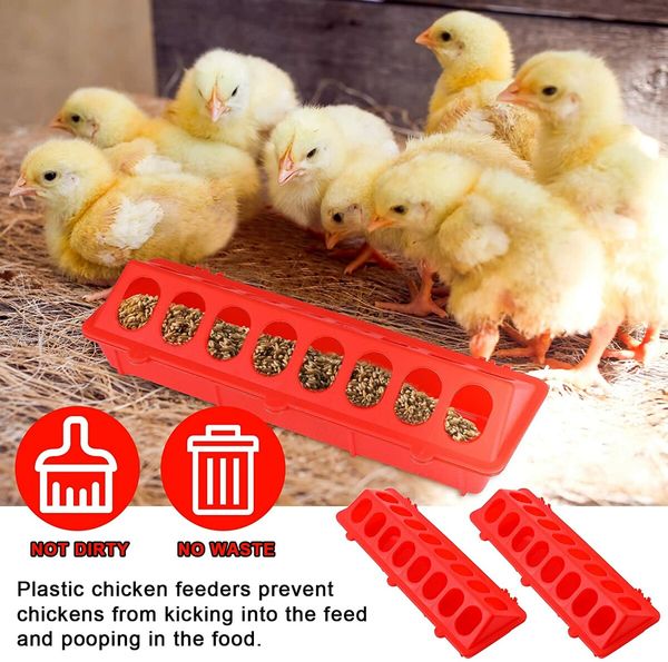 2 Plastic Flip Top Bird Small Poultry Feeder for Pigeon Chicken Feeder Dispenser (Red)