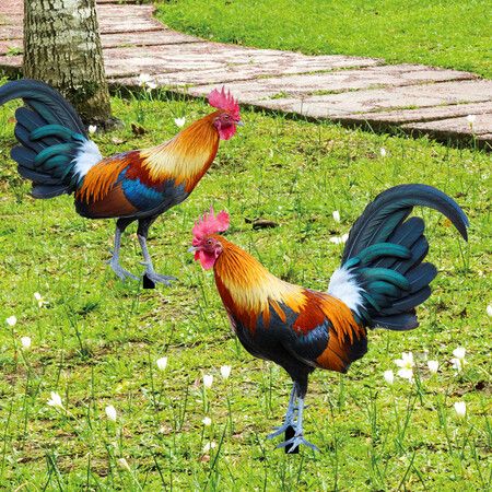 2pcs Backyards Decoration Rooster Hen Ground Sings Garden Lawns Acrylic Signs Inserted Chicken Animal Decor Silhouette Signs