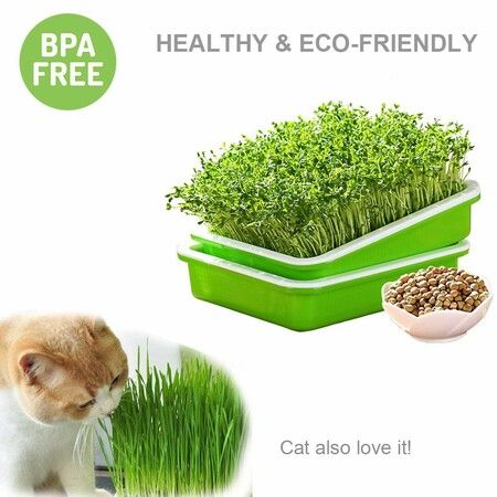 Seed Sprouter Tray BPA Free PP Soil-Free Big Capacity Healthy Wheatgrass Grower Sprouting Container Kit with Lid (2Pack,Green)