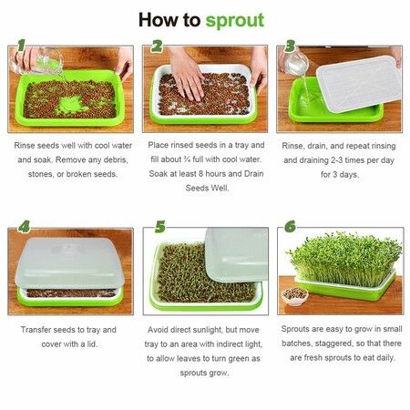 Seed Sprouter Tray BPA Free PP Soil-Free Big Capacity Healthy Wheatgrass Grower Sprouting Container Kit with Lid (2Pack,Green)