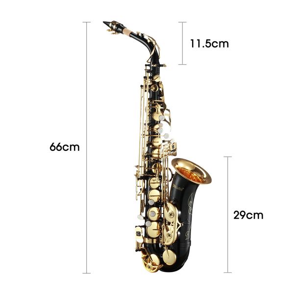 Melodic Eb Be E-flat Alto Saxophone Alto Sax for Beginner Student