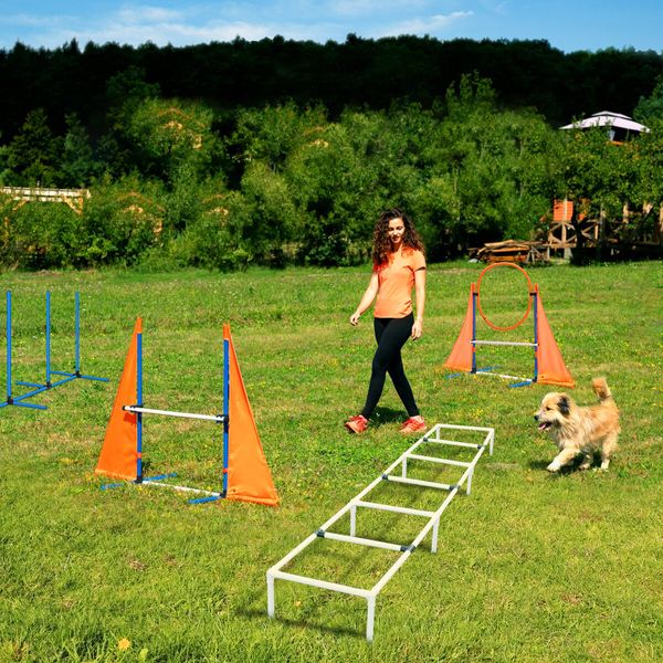 Dog Agility Training Equipment 5 Set Pet Obstacle Course Sports Exercise Kit Ladder Weave Poles Jump Bar Hurdle Ring Hoop Carry Bag