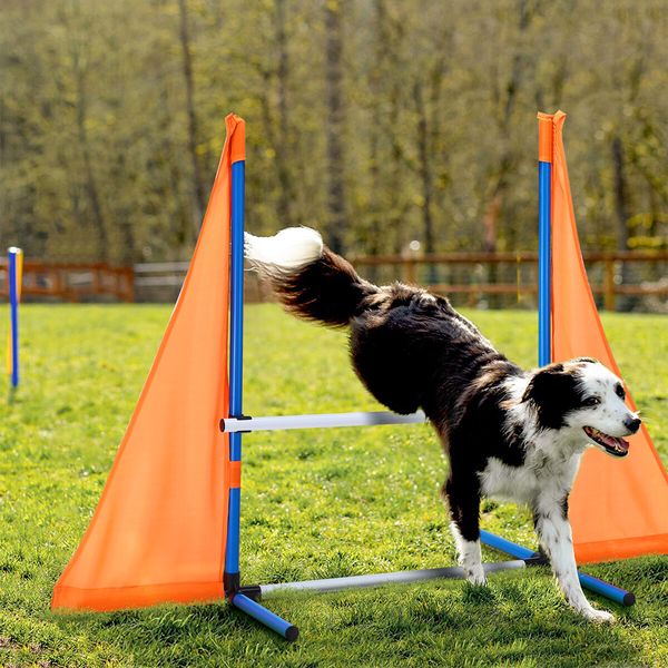 Dog Agility Training Equipment 5 Set Pet Obstacle Course Sports Exercise Kit Ladder Weave Poles Jump Bar Hurdle Ring Hoop Carry Bag