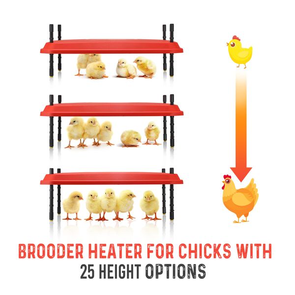 Chick Brooder Heating Plate Warmer Chicken Coop Brooding Heater Poultry Duckling Chook 40x60cm 40-50 Chicks Adjustable Height