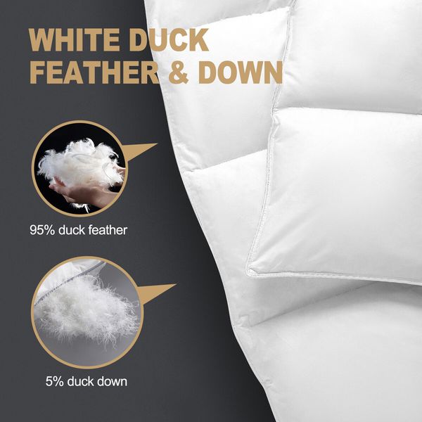 Bedding Duvet Quilt Duck Feather Down Winter Bed Comforter Queen Size Breathable Lightweight 500GSM Cotton Cover White 210x210cm