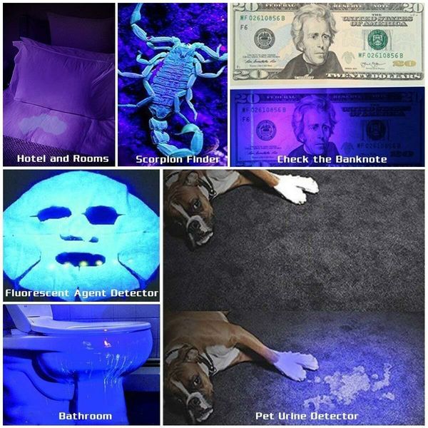 UV Flashlight Black Light, 51 LED 395 nM Ultraviolet Blacklight Detector for Dog Urine, Pet Stains and Bed Bug