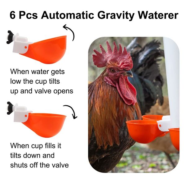 Chicken Feeder No Waste Automatic Poultry Feeder Ports Kit Chicken Feeders and Waterer Set-14 Pack