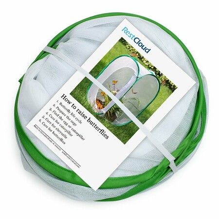 Insect and Butterfly Habitat Cage Terrarium Pop-up (Green,23.6 Inches Tall)