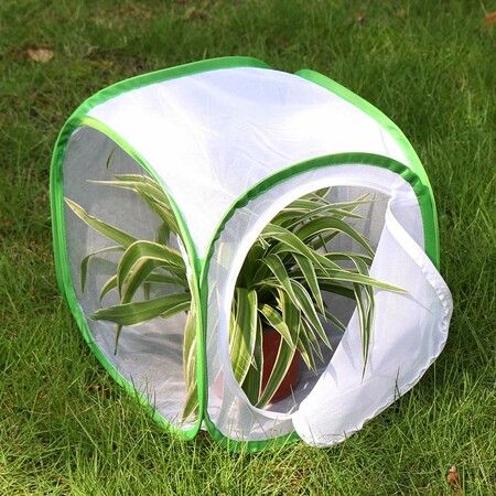 Insect and Butterfly Habitat Cage Terrarium Pop-up (Green,12 X 12 X 12 Inches)