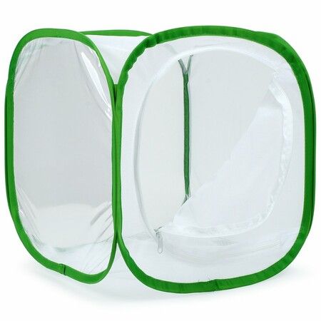 Insect and Butterfly Habitat Cage Terrarium Pop-up (Green,12 X 12 X 12 Inches)