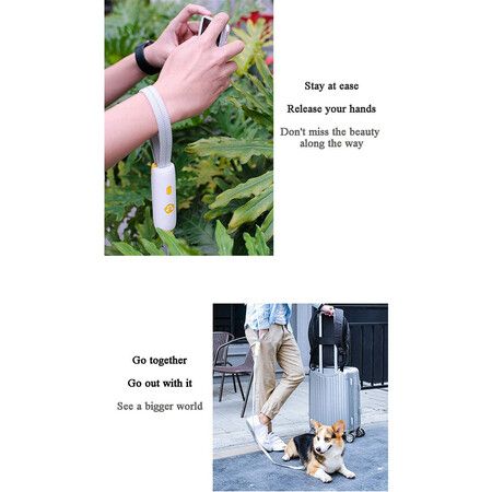 Nylon Reflective Dog Leash for Small Medium Dogs Running Walk Training Anti Lost Dog Traction Rope