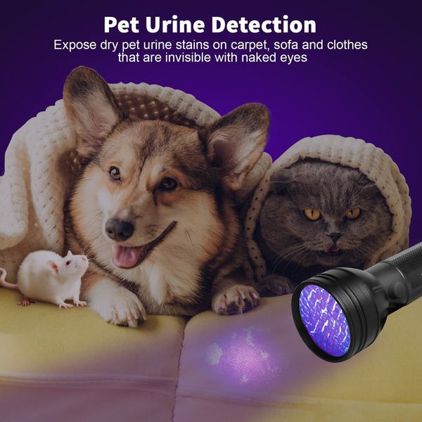 UV Flashlight Black Light 51 LED 395 nM Ultraviolet Blacklight Detector for Dog Urine Pet Stains and Bed Bug