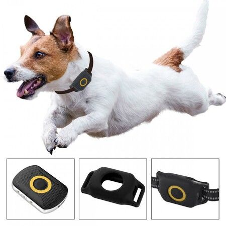 Pet GPS Tracker 4G Real-Time Tracking Collar Device, APP Control For Dogs And Pets Activity Monitor