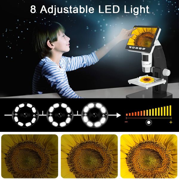 LCD Digital Microscope 4.3 inch Coin Microscope 50X-1000X Magnification,USB Microscope with 8 Adjustable LED Lights for Adults Kids,Compatible with Windows/Mac/iOS