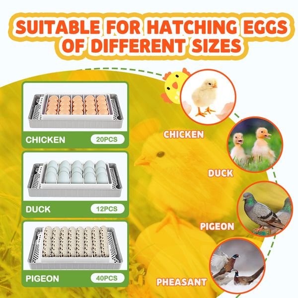 20 Eggs Incubator Automatic Hatching Chicken Chick Quail Duck Hatcher Machine Digital with Turner Candling LED