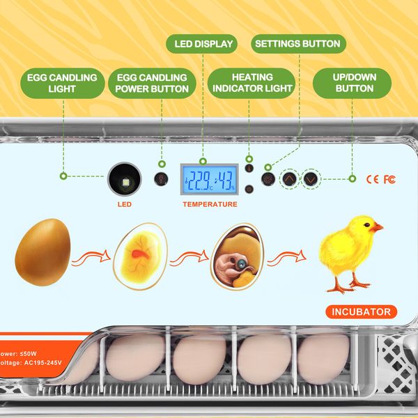 20 Eggs Incubator Automatic Hatching Chicken Chick Quail Duck Hatcher Machine Digital with Turner Candling LED