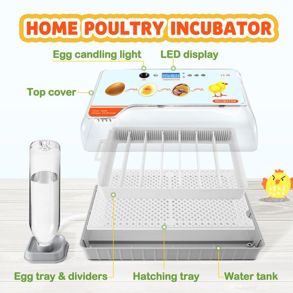 20 Eggs Incubator Automatic Hatching Chicken Chick Quail Duck Hatcher Machine Digital with Turner Candling LED